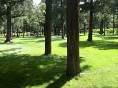 android_upload_pic-景山公园