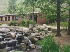 -白水寺森林公园