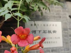 -河下古镇