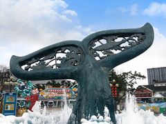 -海合安成都极地海洋公园