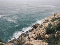 -广东惠东海龟国家级自然保护区