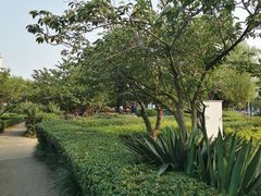 -马濠公园