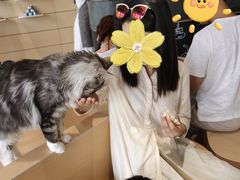 -瞄一喵猫咖(格力海岸店)