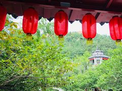 -老张烤羊(王哥庄店)