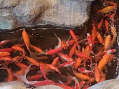 -一桶江山餐厅(松北店)