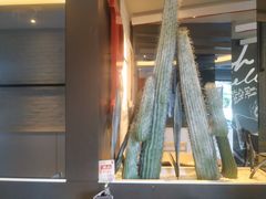 -必胜客(航洋国际店)
