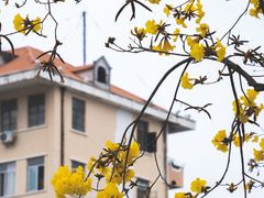 -洲头咀公园