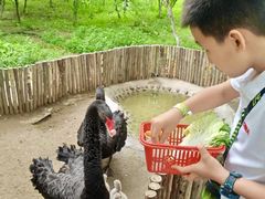 -水上乐园·欢乐世界