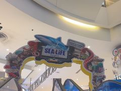 -暹罗海洋世界
