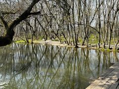 -西溪南古村落景区
