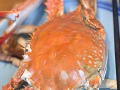 -三个渔夫·蒸汽海鲜(万德大厦店)