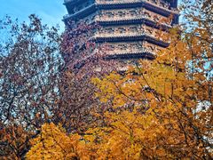 -玲珑塔公园