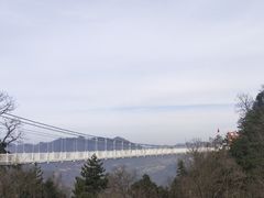 -塔云山