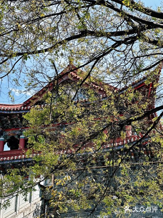 大理古城图片