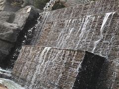 -静之湖湖畔餐厅