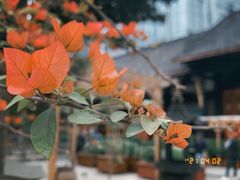 -古大圣慈寺