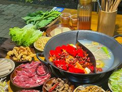 -阳阳老火锅(小南门店)