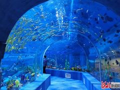 -石家庄极地海洋世界