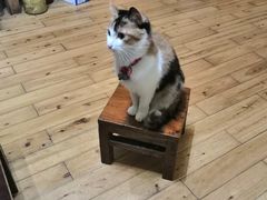 -绝味鸭脖(五小区店)