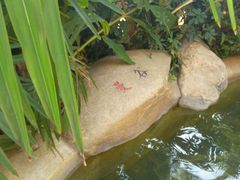 -稷泽·海丽宾雅温泉度假酒店