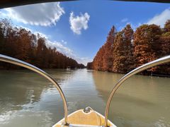 -上海海湾国家森林公园