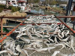 -东钱湖旅游度假区