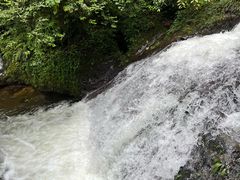-龙苍沟森林公园