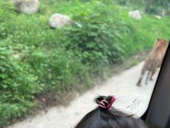 -西安秦岭野生动物园