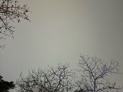 -福神岗公园