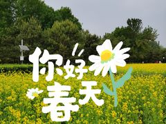 -北坞公园