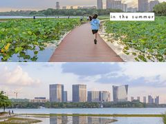 -暨阳湖生态园