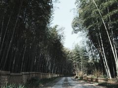 -黄公望隐居地