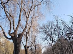 -元大都城垣遗址公园