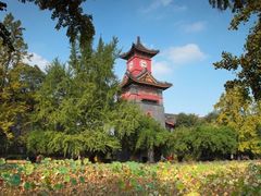 -四川大学(华西校区)