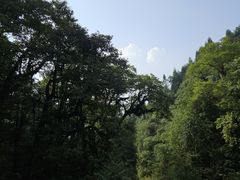 -龙苍沟森林公园