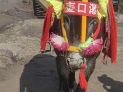 -陕西黄河壶口瀑布旅游区
