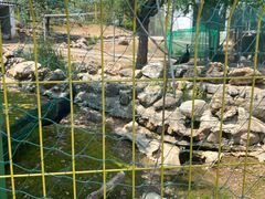 -丽泽山庄·生态怀柔菜·虹鳟鱼(红螺寺店)