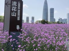 -深圳湾公园(南山区)