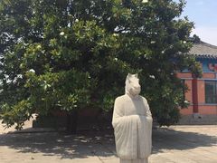 -洛阳古墓博物馆