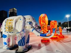 -沈阳奥体冰雪嘉年华