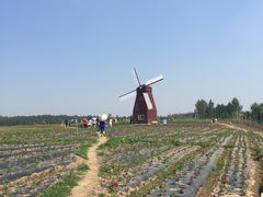 -北纬44度·金珠花海休闲农业旅游景区