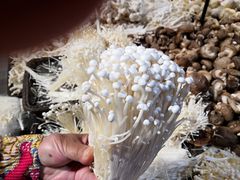 -永辉超市(嘉定宝龙广场店)