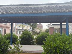 -华西村