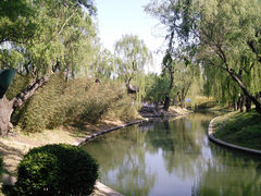 -紫竹院公园冰场