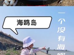 -海鸥岛