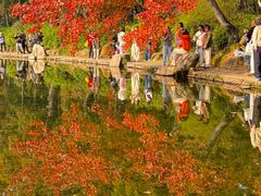 -西山人家·传统苏帮菜·家宴(木渎店)