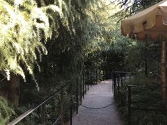 -哈利波特魔法世界
