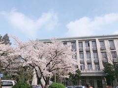 -武汉大学-樱园