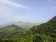 -大余丫山旅游度假区