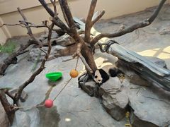 -宁波野生动物园